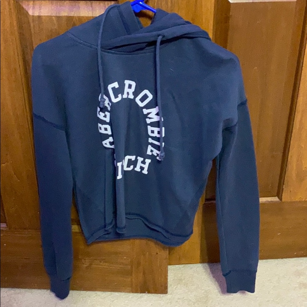 abercrombie and fitch sweatshirt
